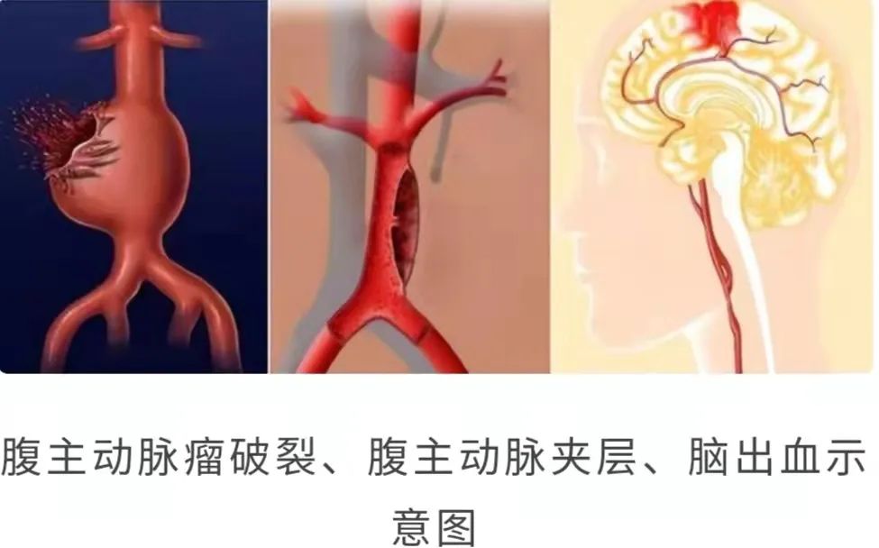 微信图片_20221212150202.jpg