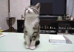 微信图片_20220824092820.gif