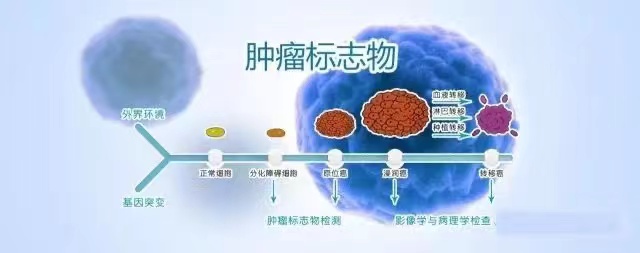 微信图片_20220901165539.jpg