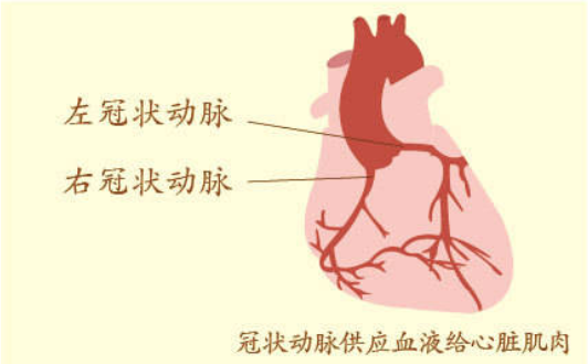 微信图片_20230103125704.png