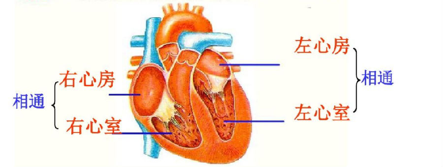微信截图_20230110082759.png