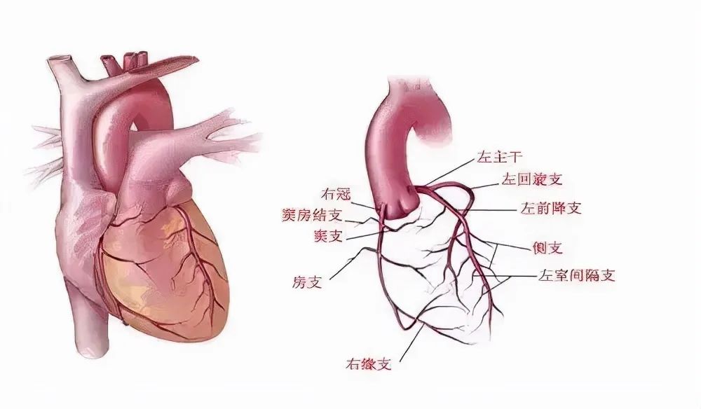 微信图片_20230423145950.jpg
