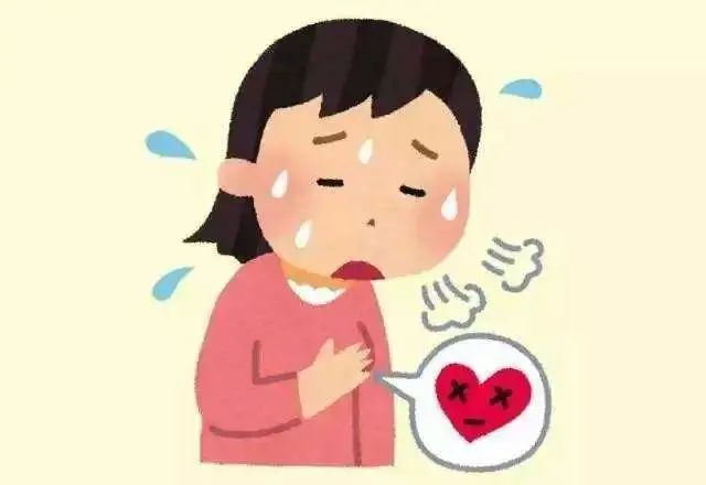 主动脉瓣222222222.png