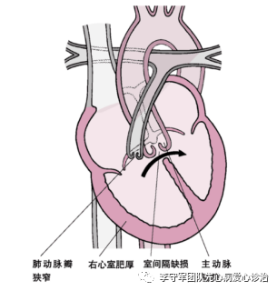 微信图片_20241229130946.png