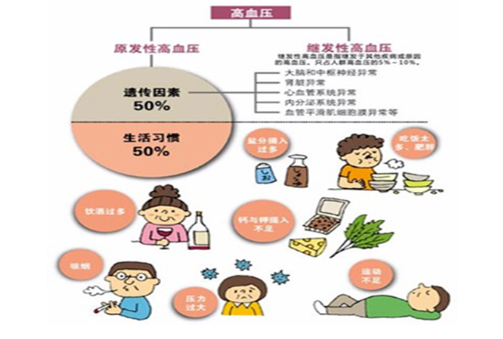 屏幕截图 2025-05-13 100109.png