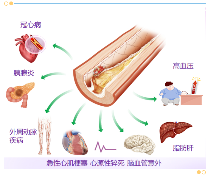 屏幕截图 2025-05-13 105152.png