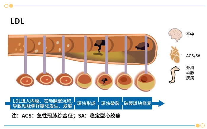屏幕截图 2025-05-13 105206.png