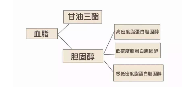 屏幕截图 2025-05-13 110244.png