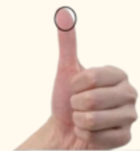 屏幕截图 2025-05-13 114313.png