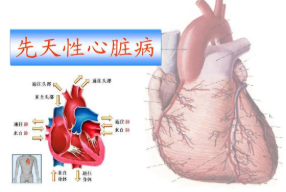 屏幕截图 2025-05-13 133910.png