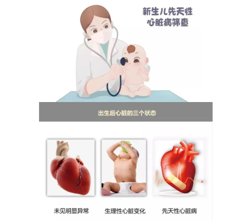 屏幕截图 2025-05-13 133937.png