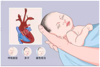 屏幕截图 2025-05-13 135456.png