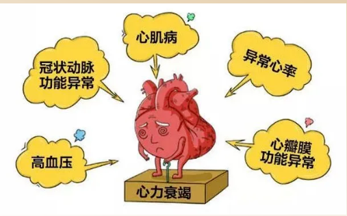屏幕截图 2025-05-13 141657.png