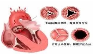 微信截图_20250513111022.jpg