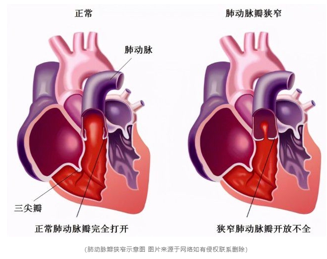 微信截图_20250513142407.jpg