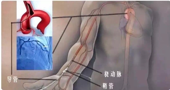 微信截图_20250513145616.jpg