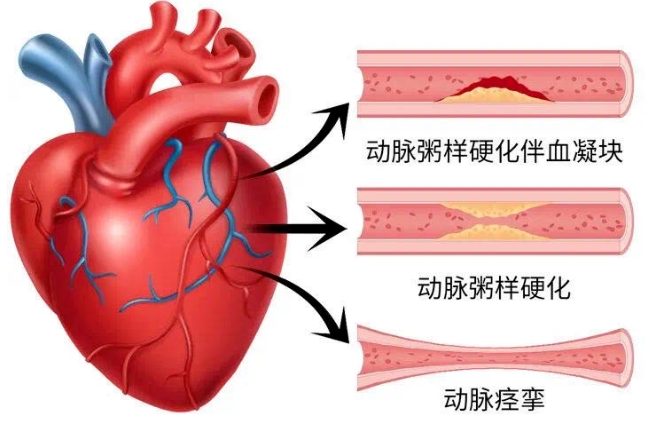 微信截图_20250513145627.jpg