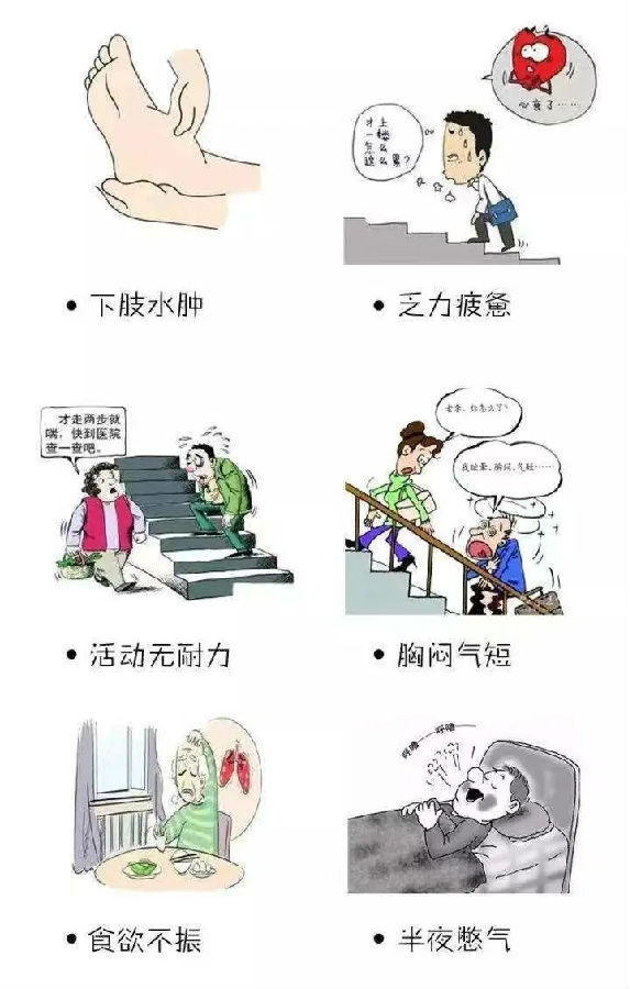 心衰6_副本.jpg